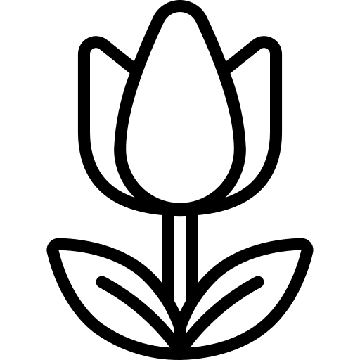 Tulip tulip garden ecology and environment icon