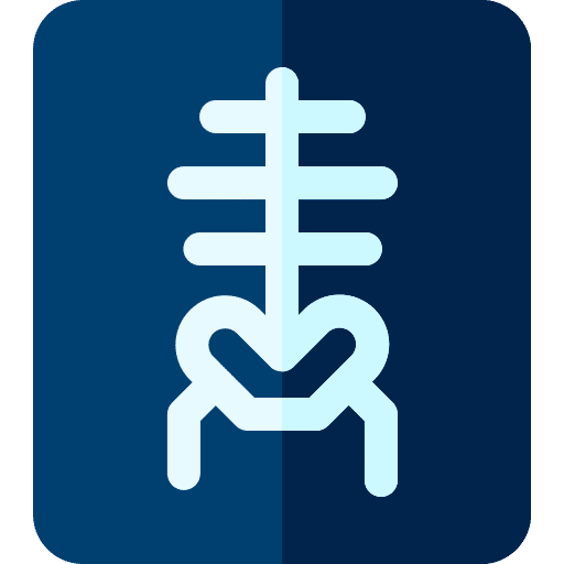 X ray healthcare and medical skeleton medical icon