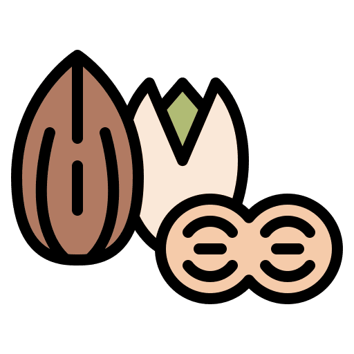Nuts protein healthy nut icon