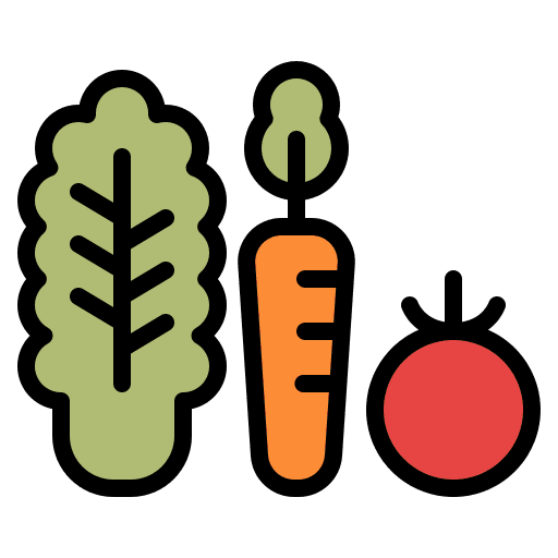 Vegetables salad vitamins fresh icon