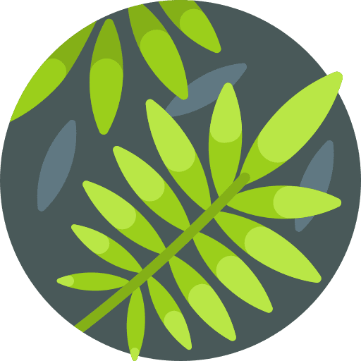 Fern botanic plant nature icon