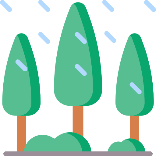 Tree nature wood forest icon