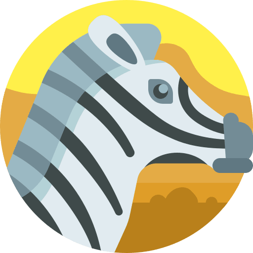 Zebra animal kingdom zoo cultures icon