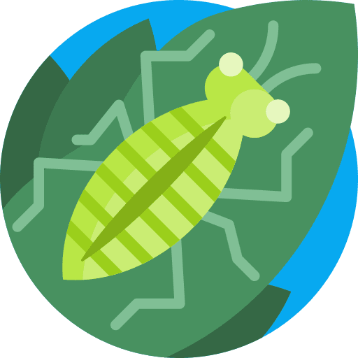 Bug animals leaf nature icon