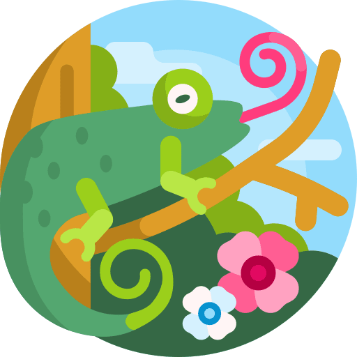 Chameleon wild life animal kingdom animals icon