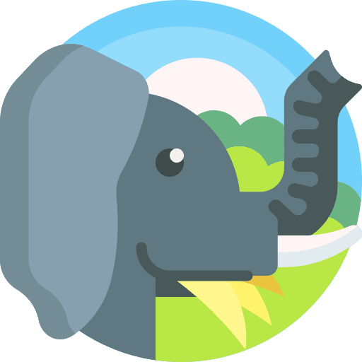 Elephant wild life elephant zoo icon