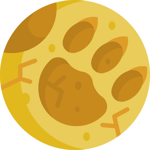 Footprint footprint pawprint animal icon