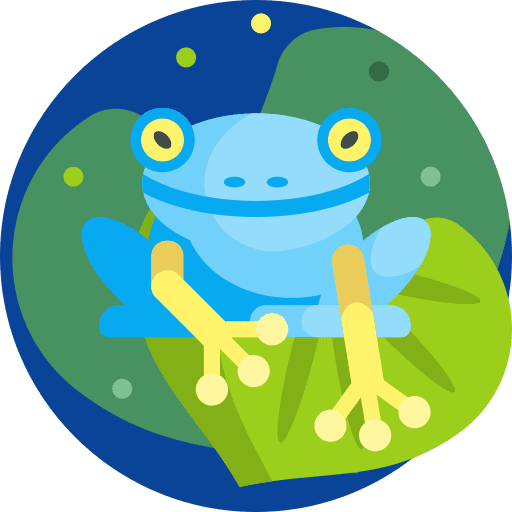 Frog frog amphibian wildlife icon