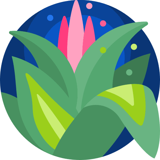 Jungle bush jungle nature icon