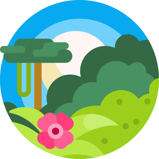 Jungle tree forest plant icon