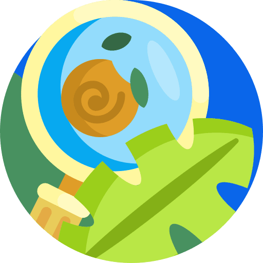 Loupe glasses loupe search icon