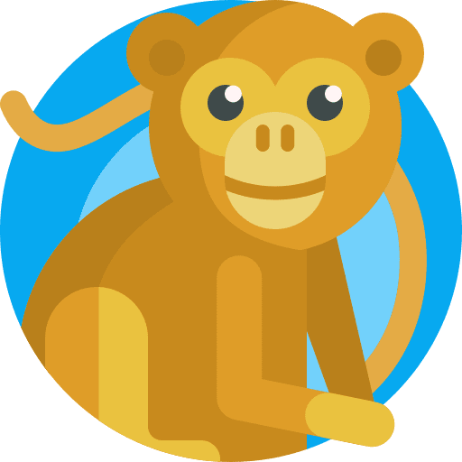 Monkey primate animal kingdom monkey icon