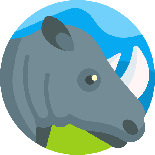 Rhinoceros wildlife animal kingdom mammal icon