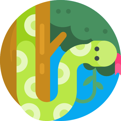 Snake animals wildlife virus icon