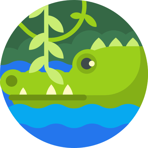 Alligator crocodile reptile alligator icon