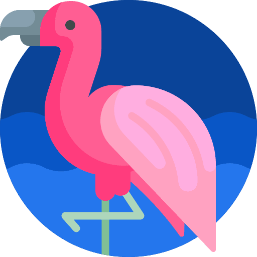 Flamingo garden bird animal icon