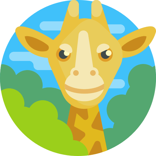 Giraffe animal wildlife animals icon