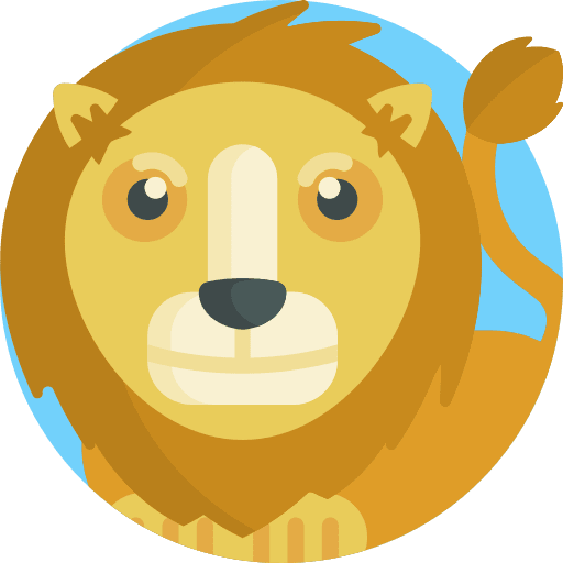 Lion lion animals animal icon