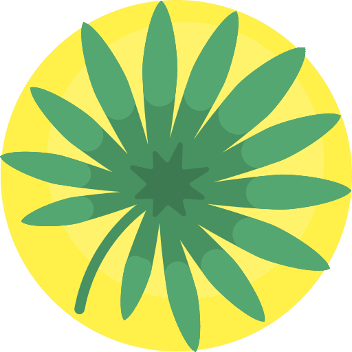 Palm jungle nature palm tree icon