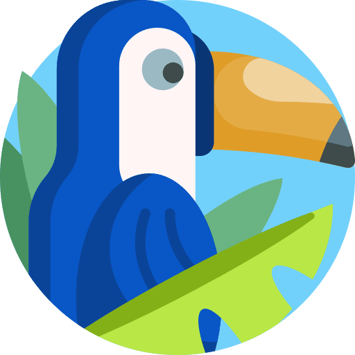 Toucan animals animal kingdom bird icon