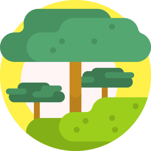 Tree tree forest plant icon