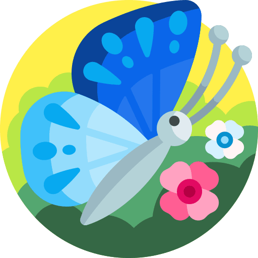 Butterfly animals jewelry beauty icon