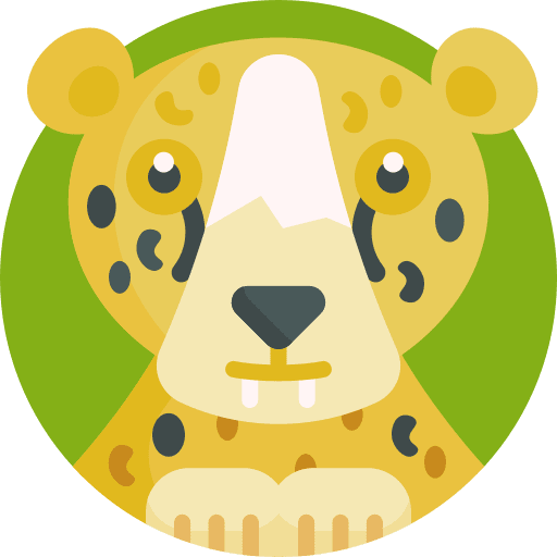 Leopard wild life animal kingdom zoo icon