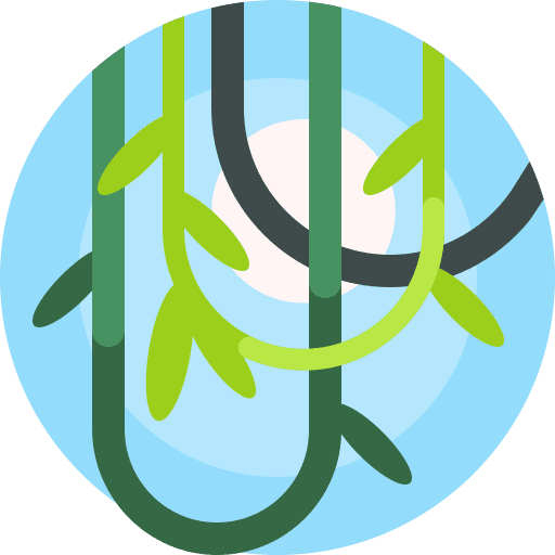 Vines vine branch vines icon