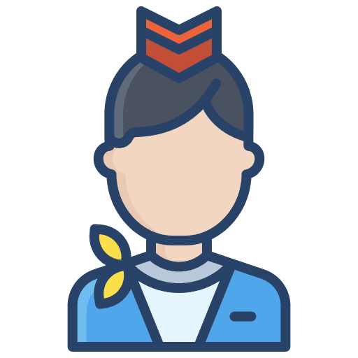 Air hostess flight attendant assistant professions and jobs icon