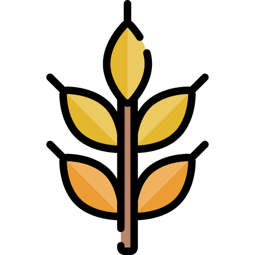 Wheat seed wheat plant food icon