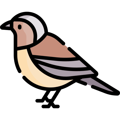 Bird animal bird zoo icon