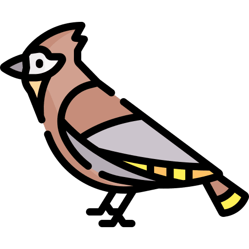 Bird animals bird ornithology icon