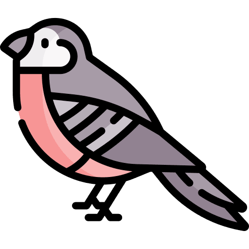 Bird bird ornithology zoo icon