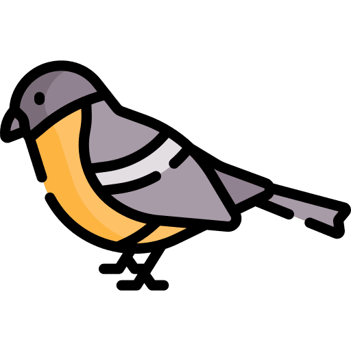 Bird bird zoo animals icon