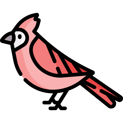 Cardinal animal cardinal animals icon