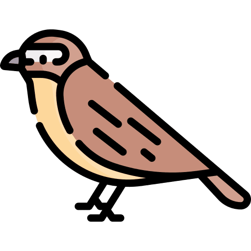 Nightingale animal nightingale bird icon