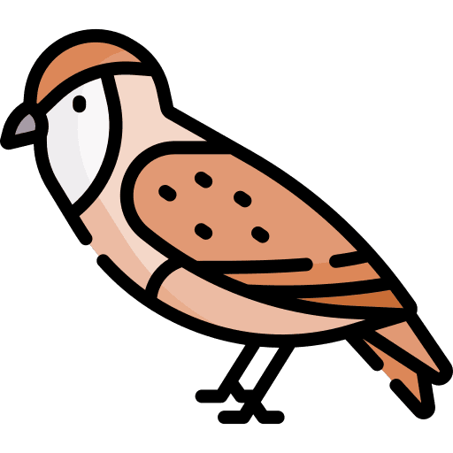 Owl animal zoo bird icon