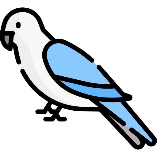 Parrot bird animal zoo icon