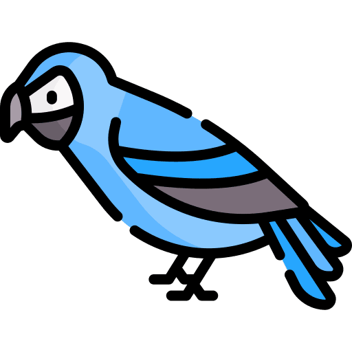 Parrot ornithology parrot animal icon