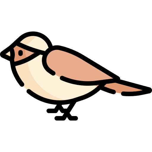 Sparrow zoo sparrow bird icon