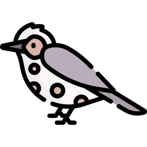 Bird animal zoo bird icon