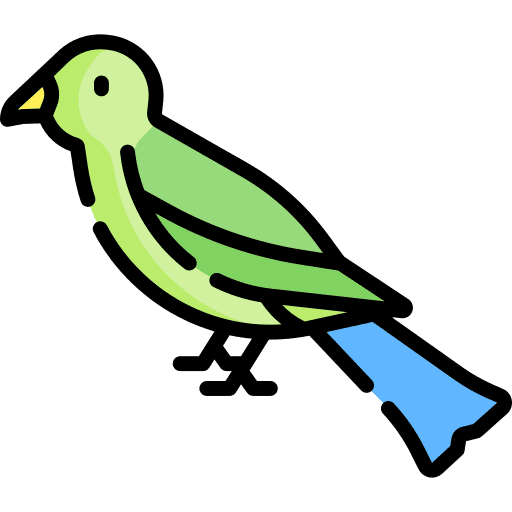 Bird animals bird ornithology icon