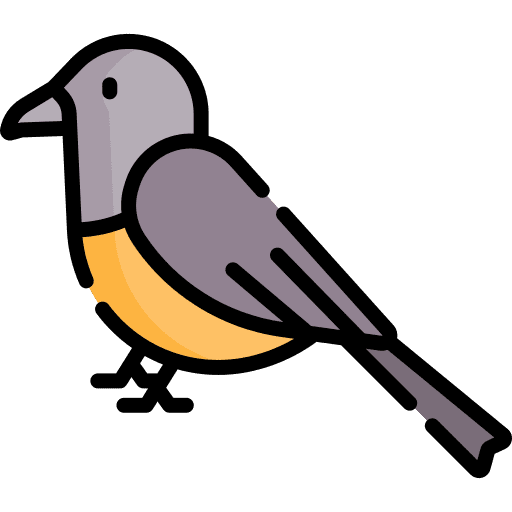 Bird bird animals animal icon