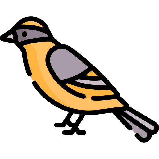 Bird ornithology bird animal icon