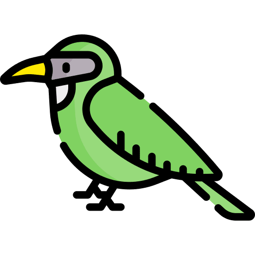Bird ornithology bird zoo icon