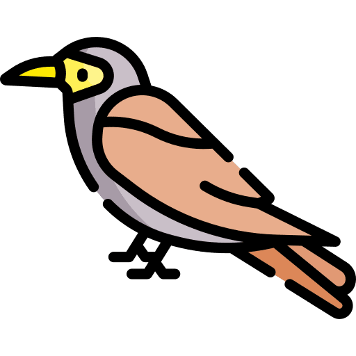Bird ornithology bird zoo icon
