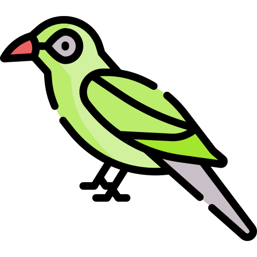 Bird zoo animal bird icon