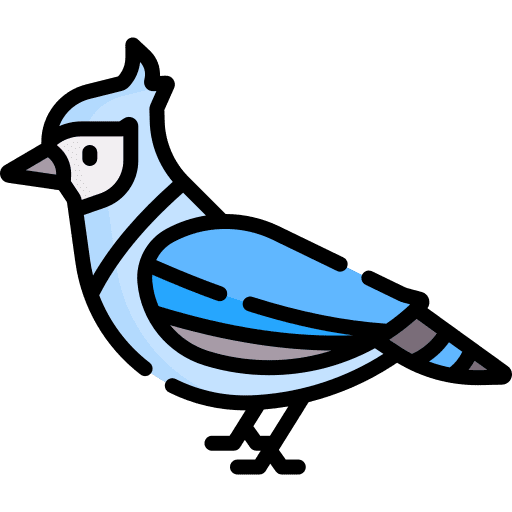 Bird zoo ornithology animal icon