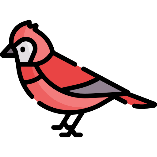 Cardinal ornithology animals cardinal icon
