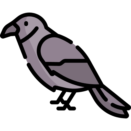 Crow animal crow ornithology icon